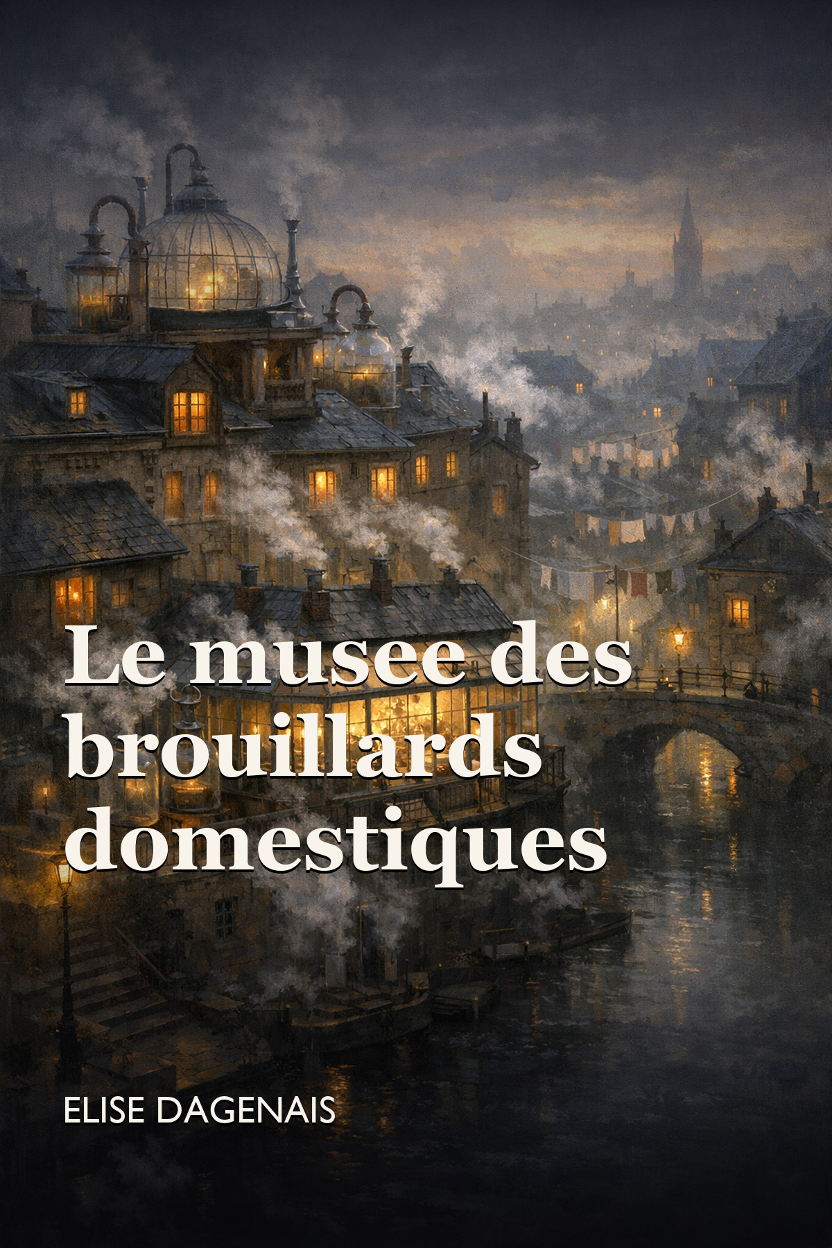 Couverture de Le musée des brouillards domestiques